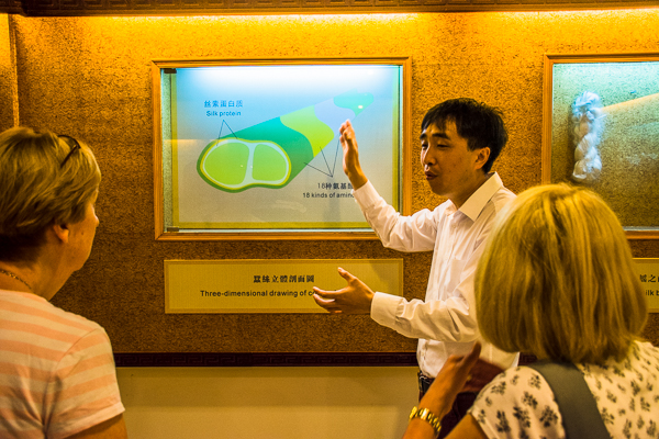 Our host in the Silk Museum describing the making of silk.