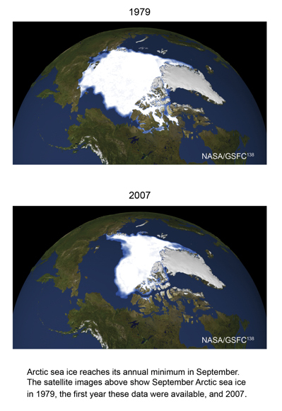 Loss in Arctic sea ice.