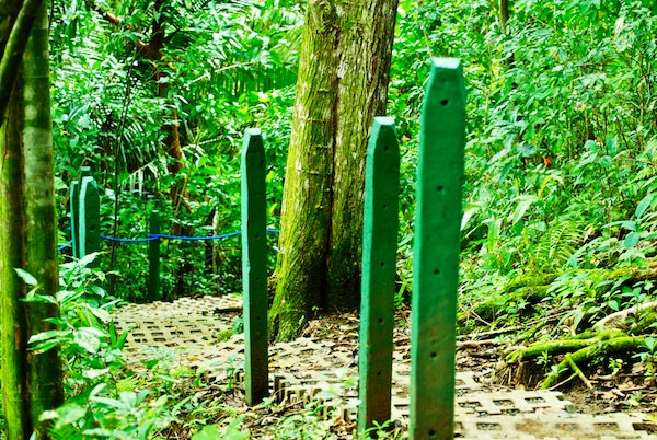 One of the trails at the Parador Resort and Spa.