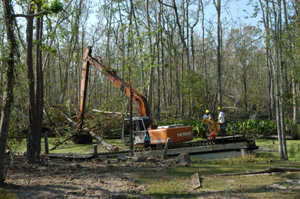 Trees removed from bayou behind house.