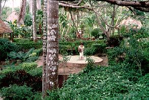 Hotel with lush vegetation.